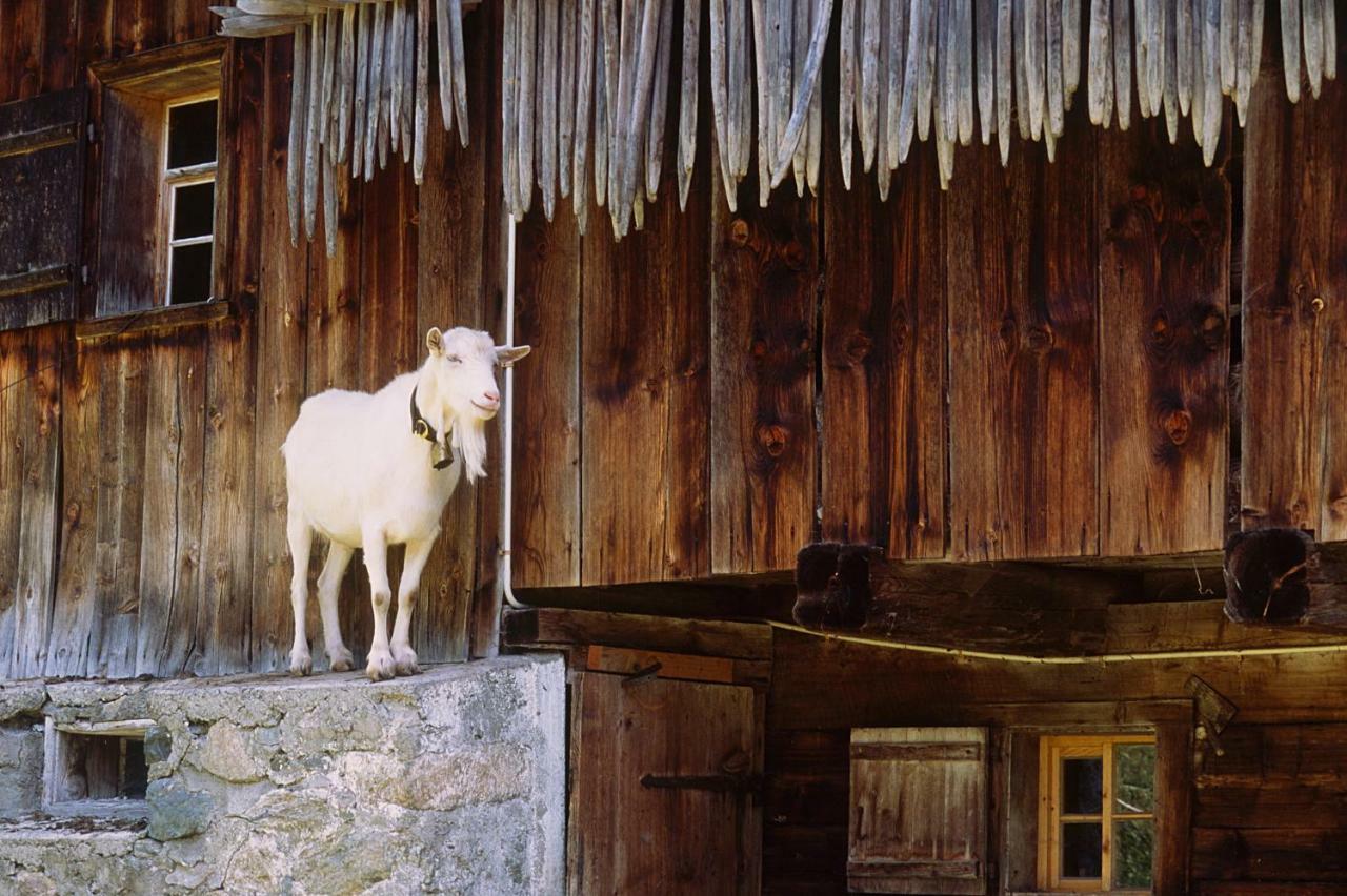 Haus Karin Panzió Sankt Gallenkirch Kültér fotó